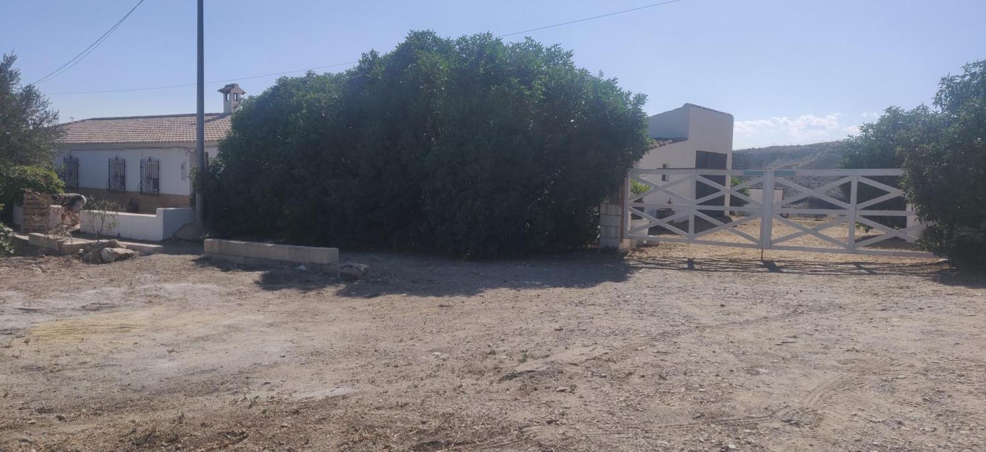 Appartement Rosa With Pool Available Albox Dış mekan fotoğraf